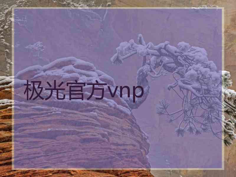 极光官方vnp