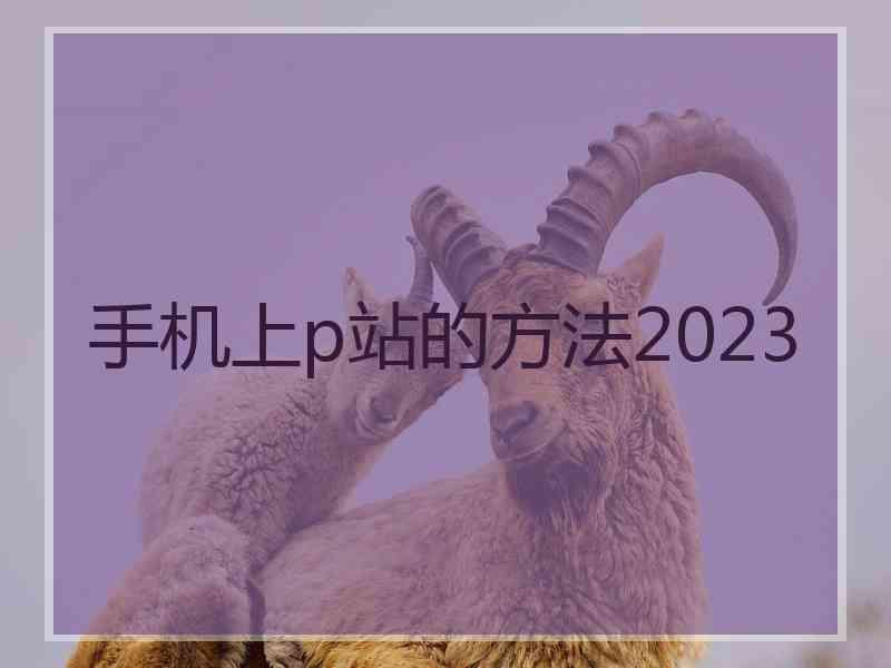 手机上p站的方法2023