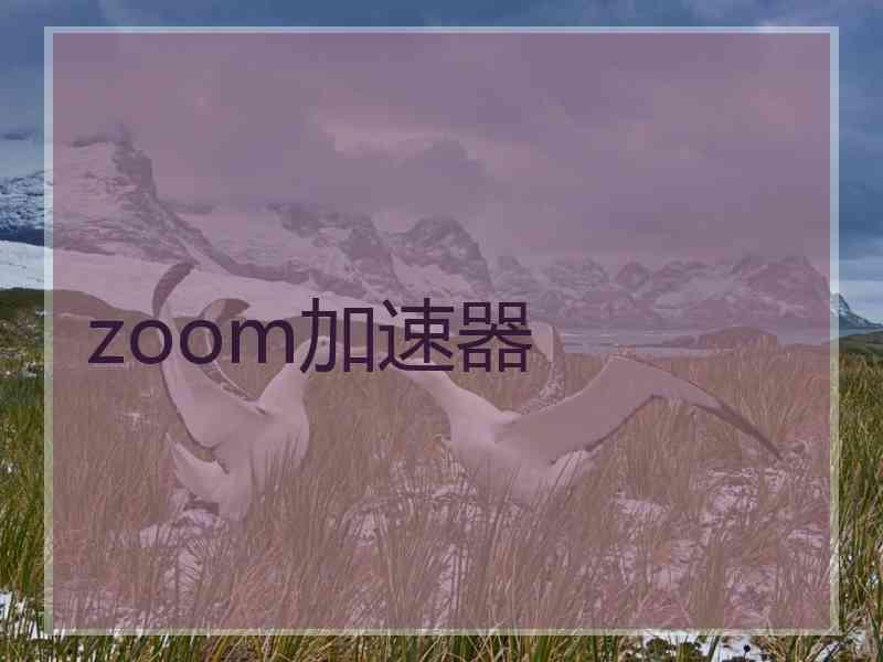 zoom加速器