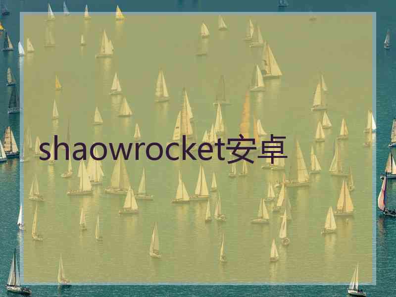 shaowrocket安卓