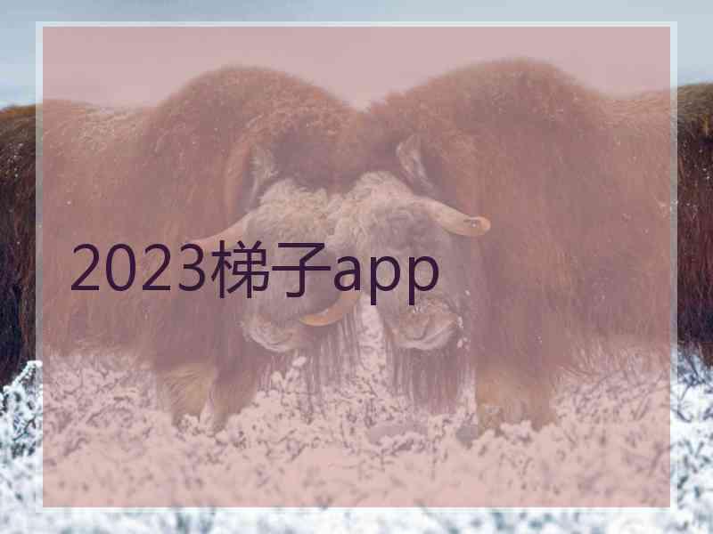 2023梯子app