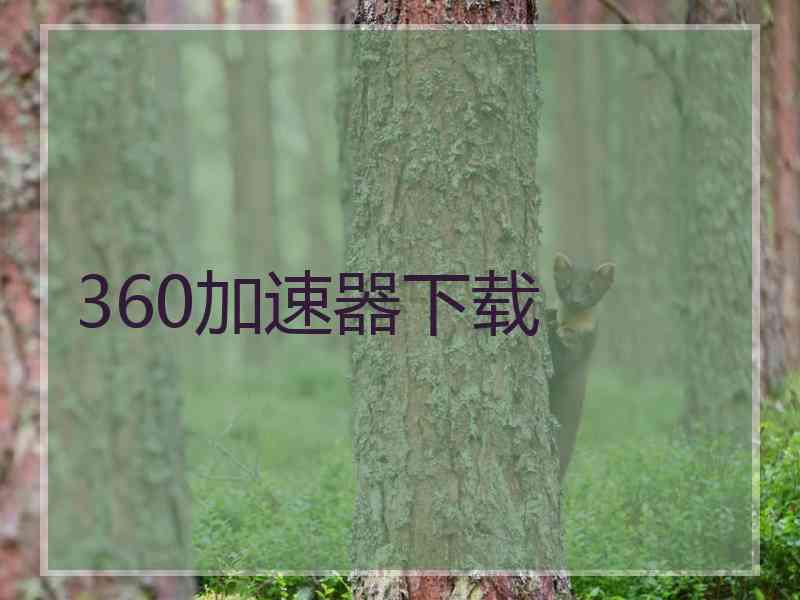 360加速器下载