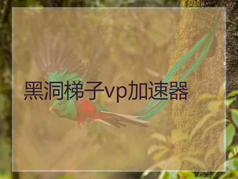 黑洞梯子vp加速器