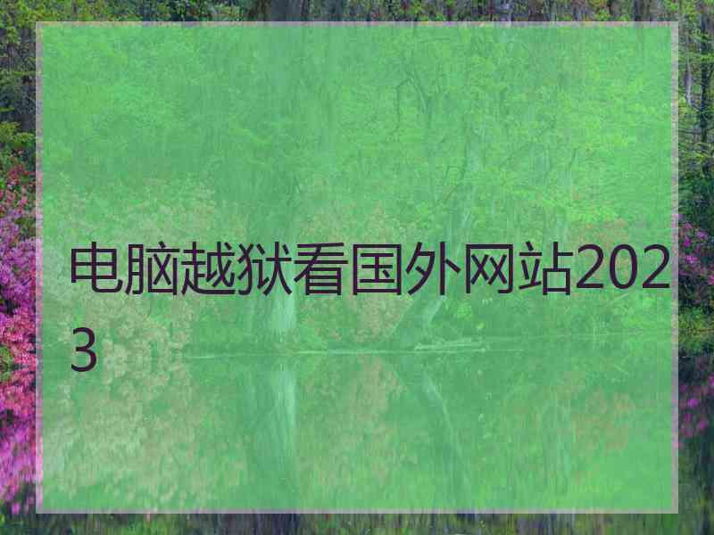 电脑越狱看国外网站2023