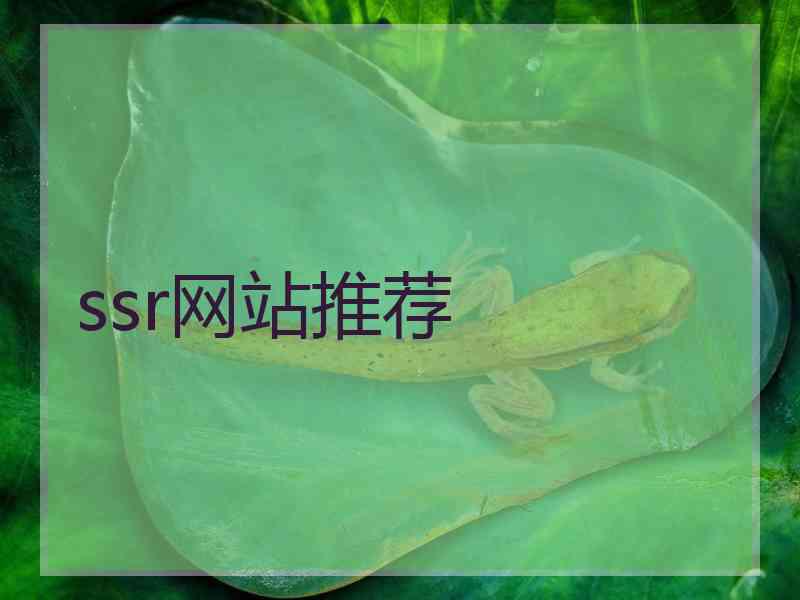 ssr网站推荐