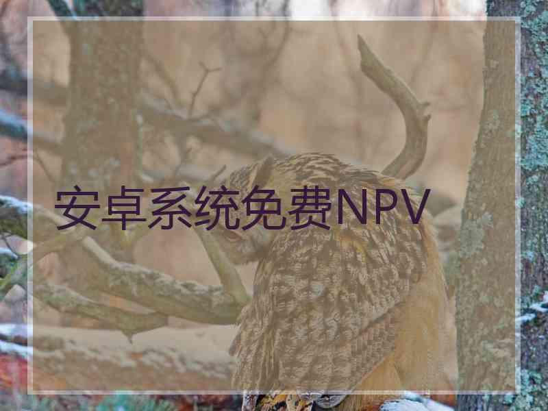 安卓系统免费NPV