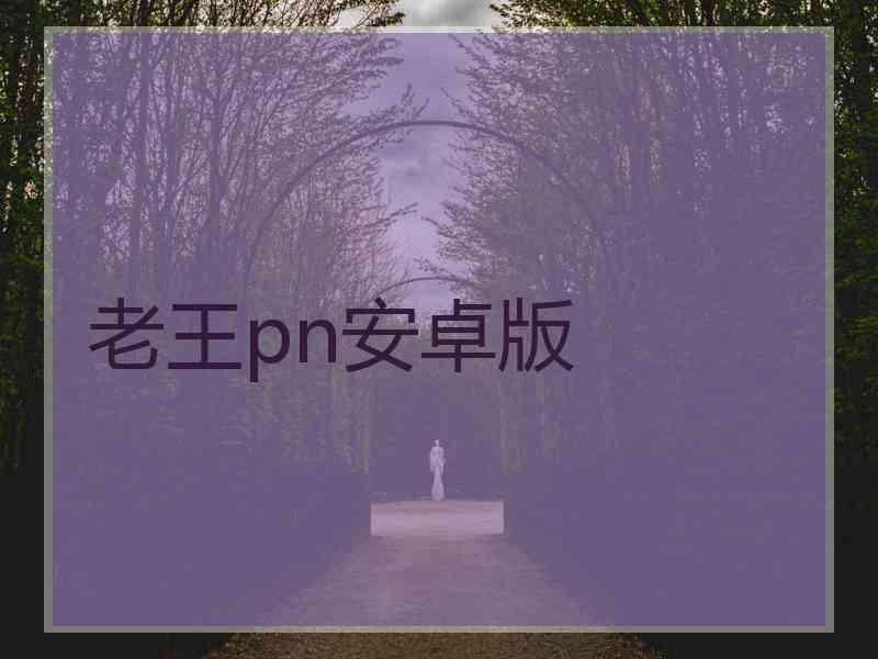 老王pn安卓版