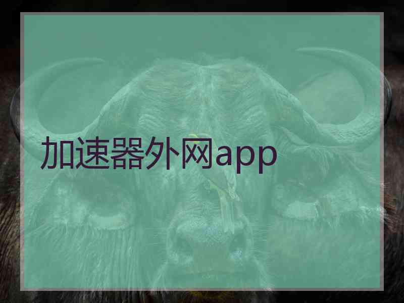 加速器外网app