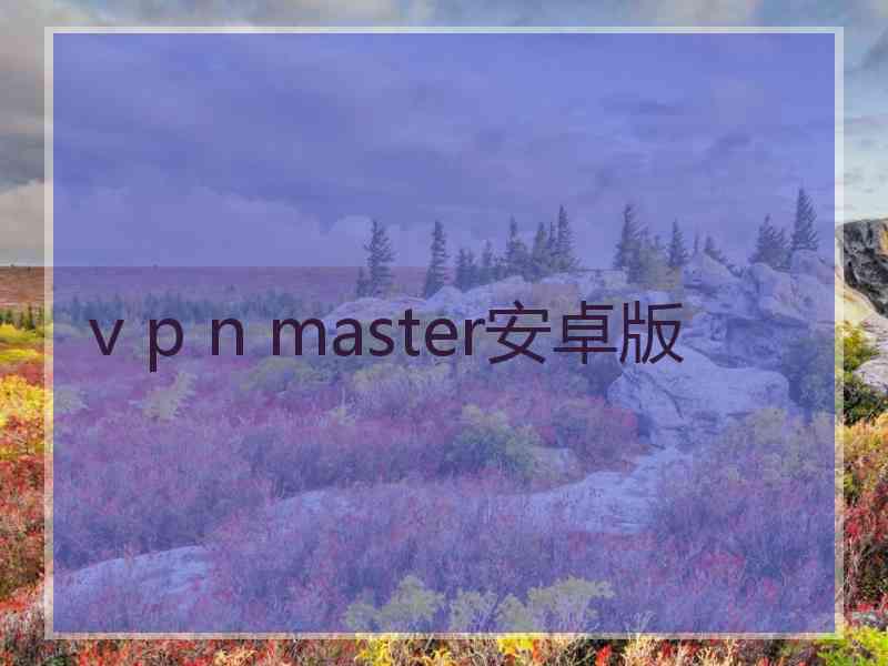 v p n master安卓版