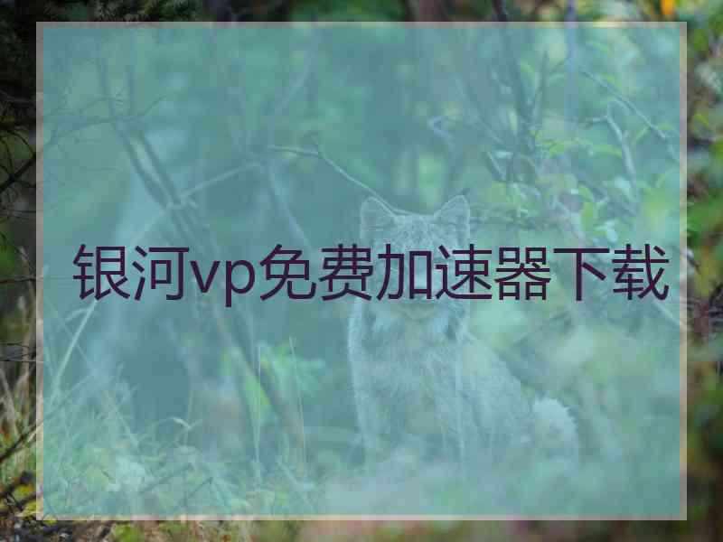 银河vp免费加速器下载