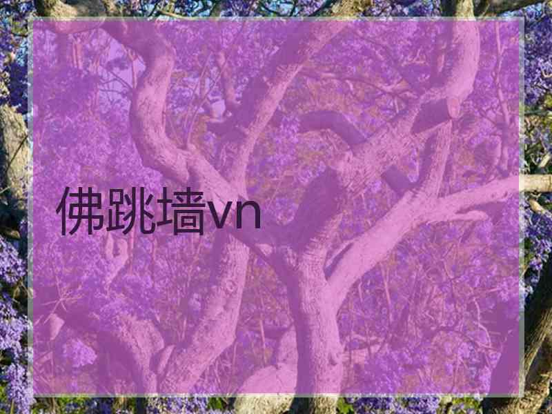 佛跳墙vn