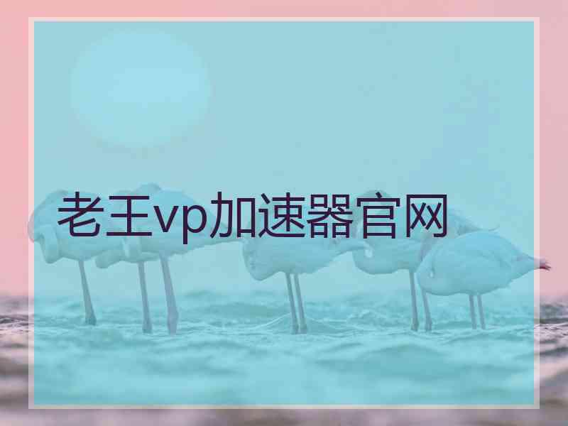 老王vp加速器官网