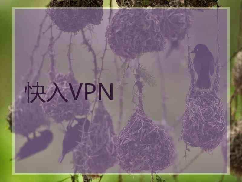 快入VPN