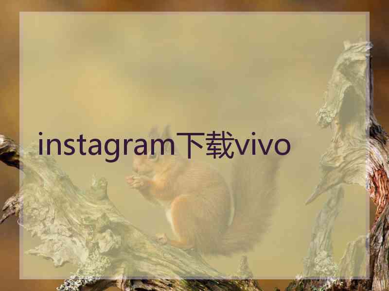 instagram下载vivo