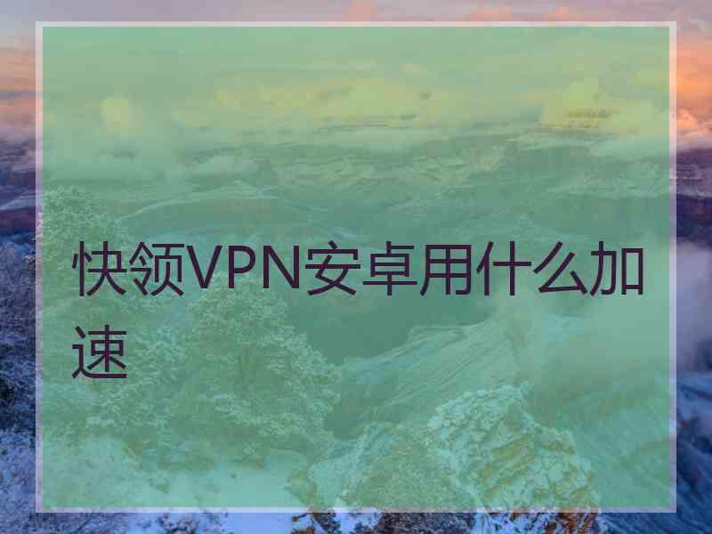 快领VPN安卓用什么加速