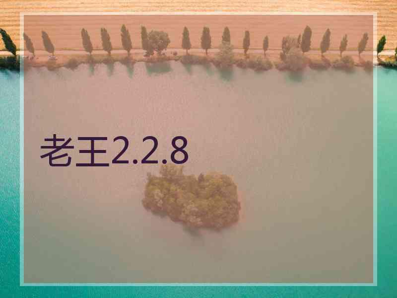 老王2.2.8