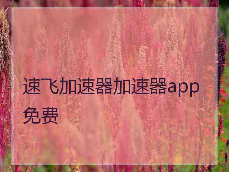 速飞加速器加速器app免费