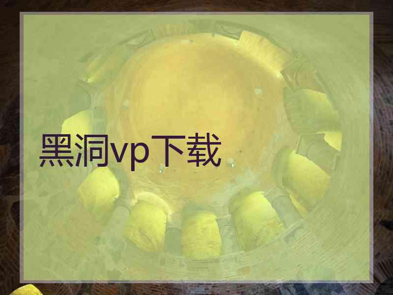 黑洞vp下载