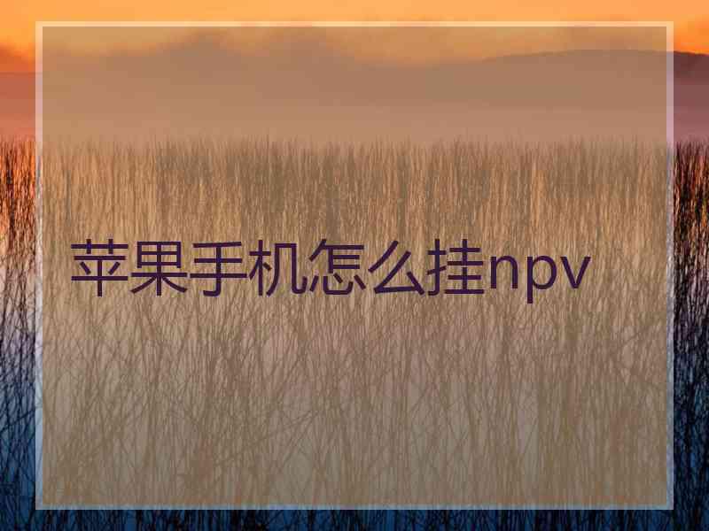 苹果手机怎么挂npv