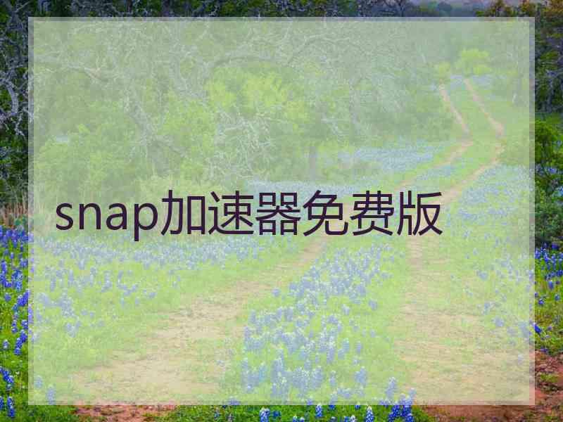 snap加速器免费版