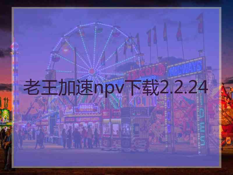 老王加速npv下载2.2.24