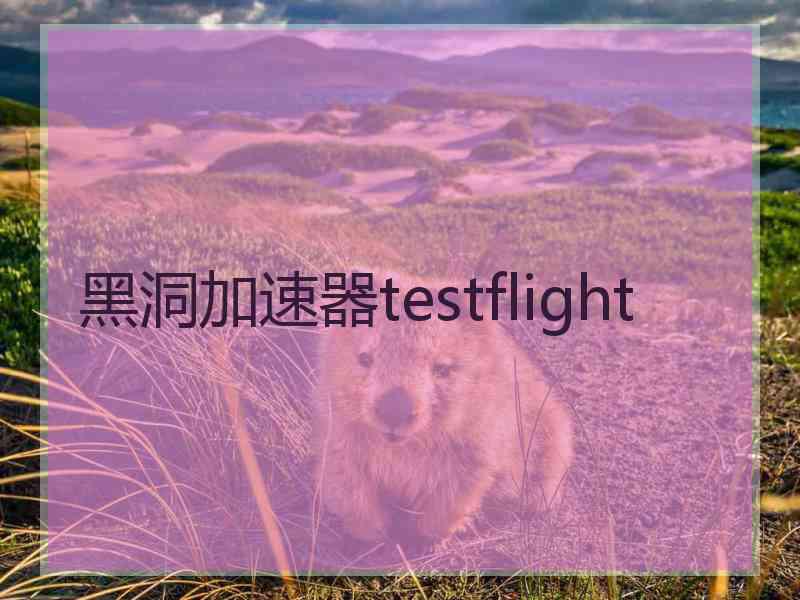 黑洞加速器testflight