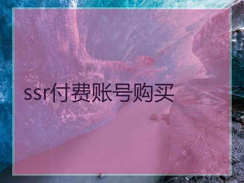 ssr付费账号购买