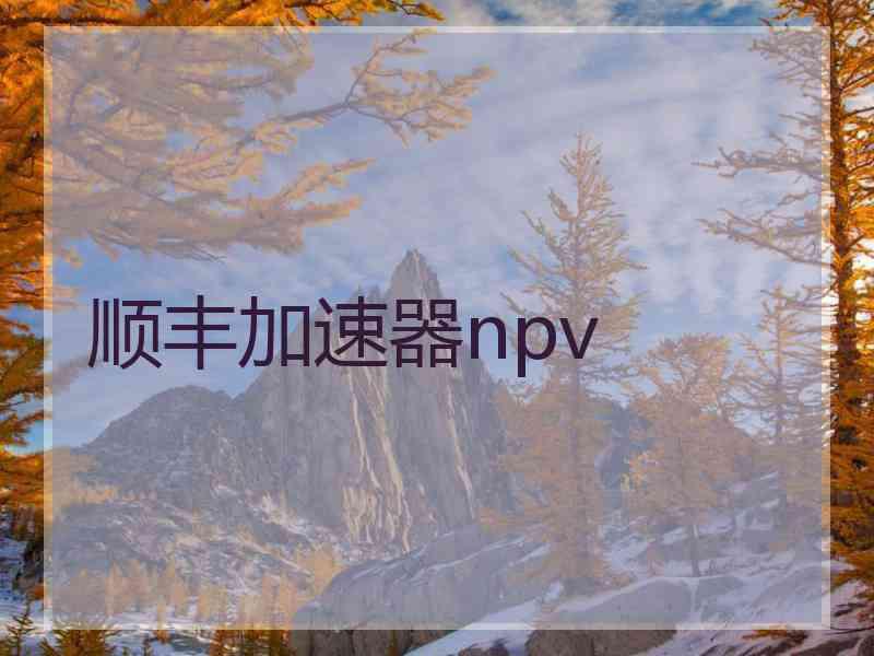 顺丰加速器npv