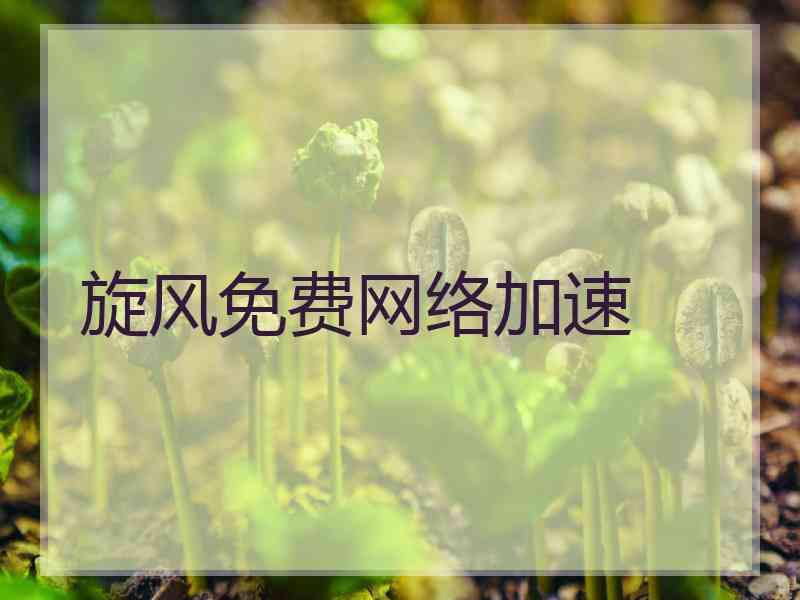 旋风免费网络加速