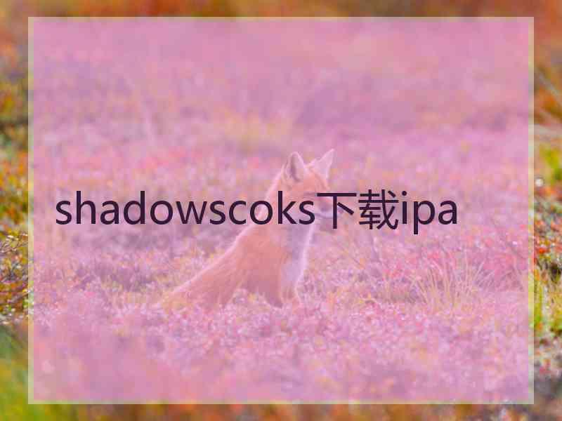 shadowscoks下载ipa