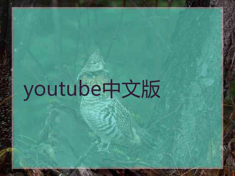 youtube中文版