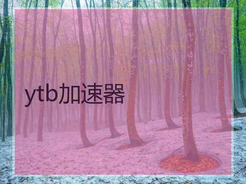 ytb加速器