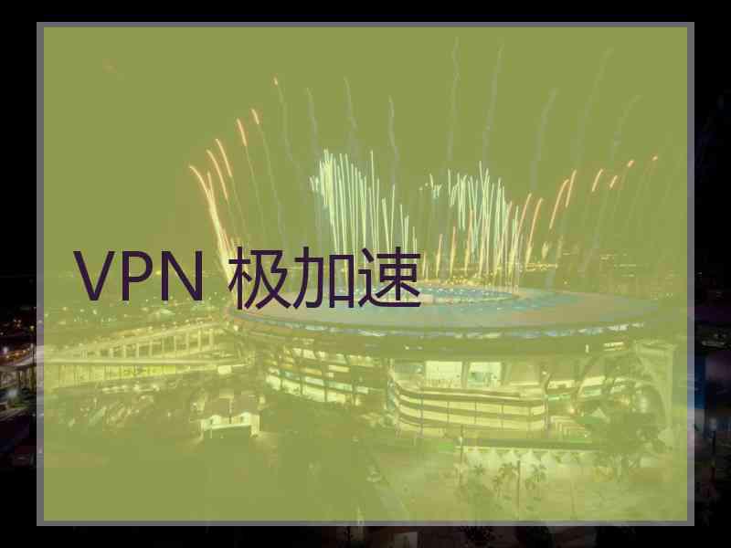 VPN 极加速