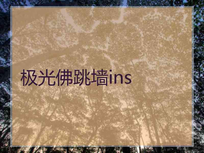 极光佛跳墙ins