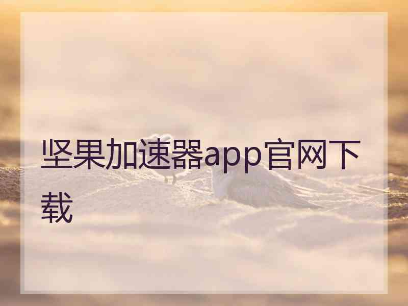 坚果加速器app官网下载