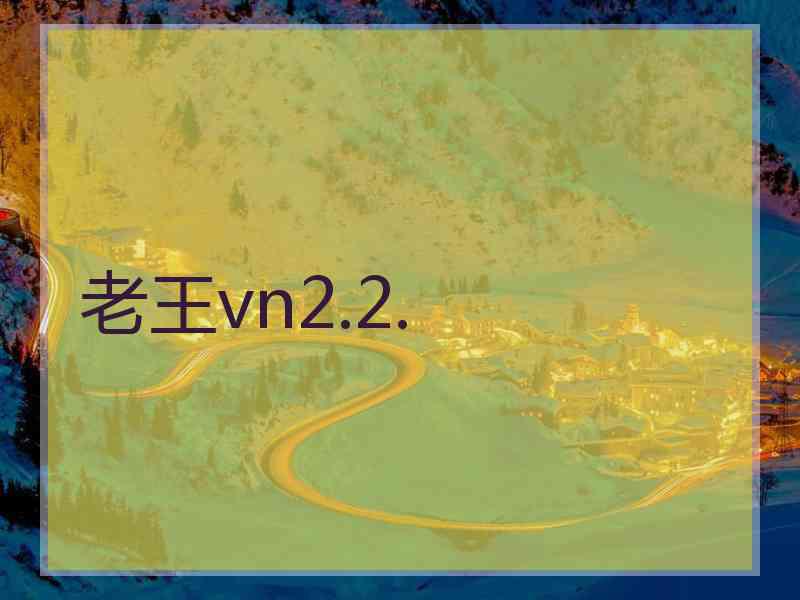 老王vn2.2.