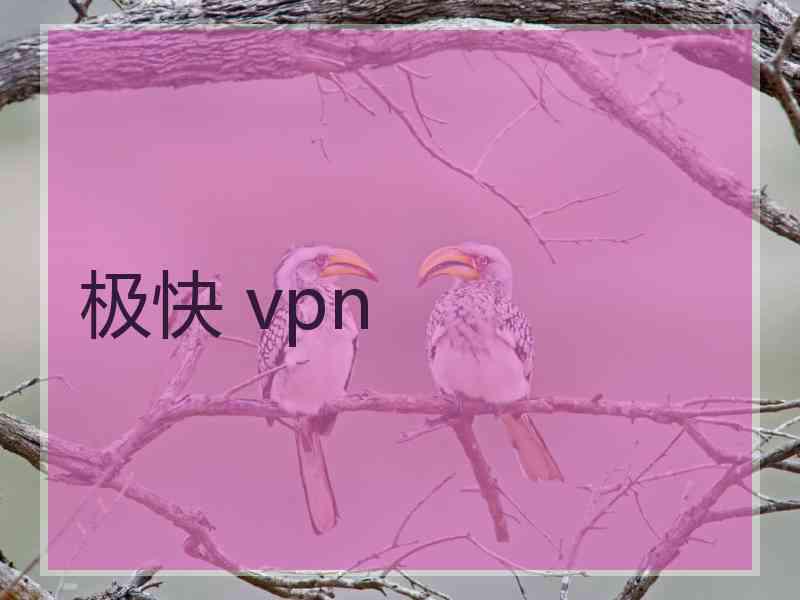 极快 vpn