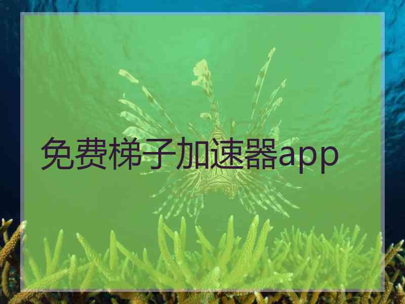 免费梯子加速器app