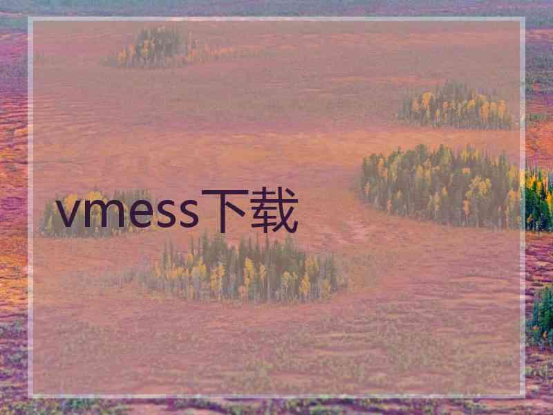 vmess下载