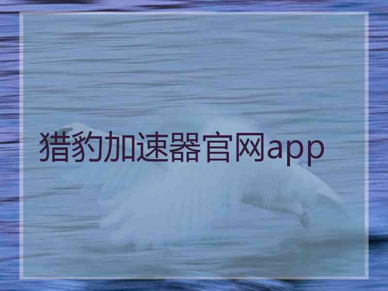 猎豹加速器官网app