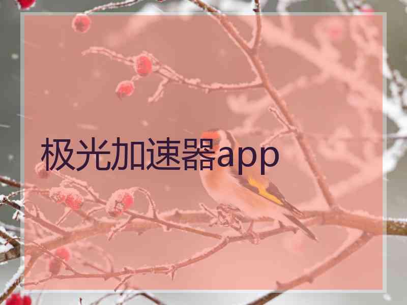 极光加速器app