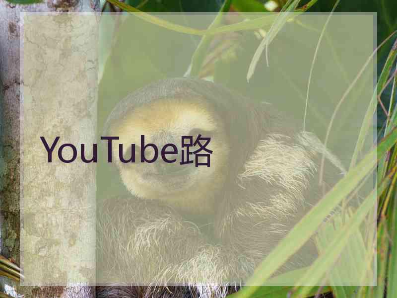 YouTube路