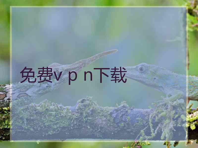 免费v p n下载