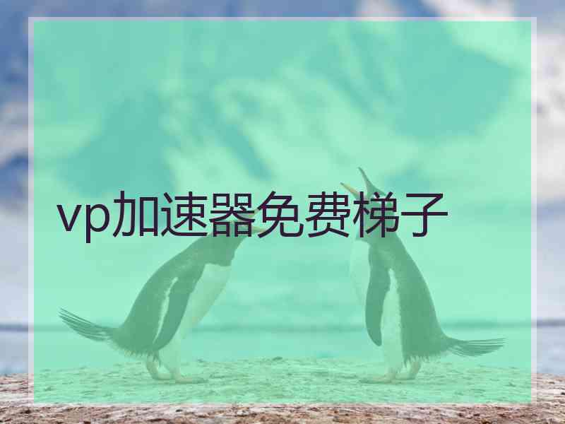 vp加速器免费梯子