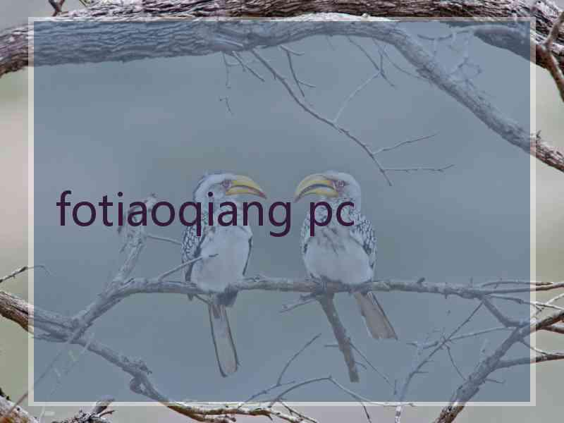 fotiaoqiang pc