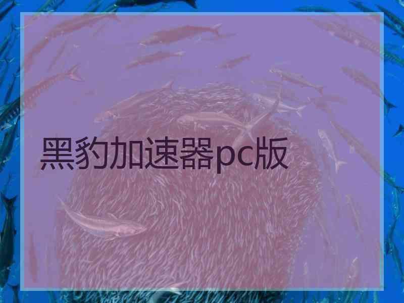 黑豹加速器pc版