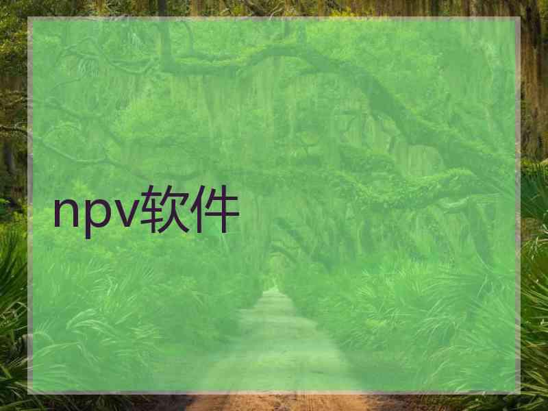 npv软件