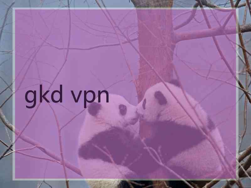 gkd vpn