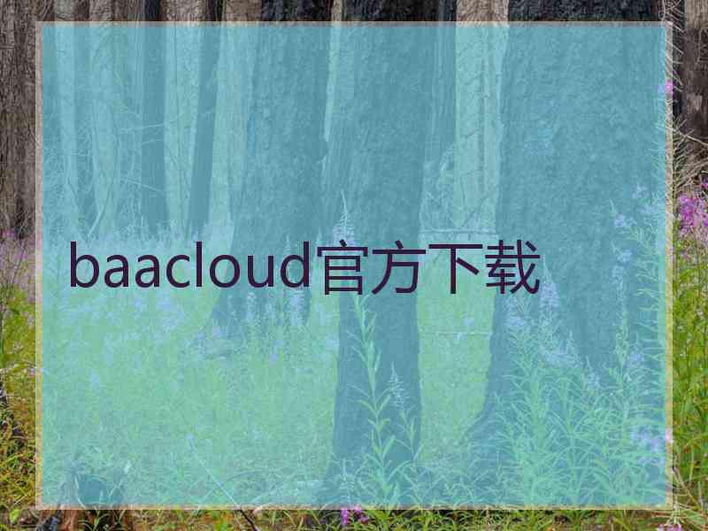 baacloud官方下载