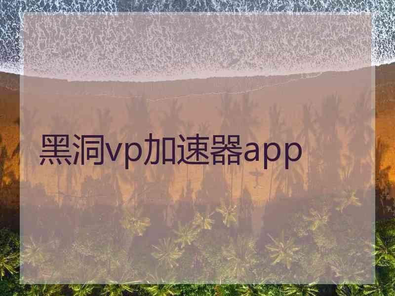 黑洞vp加速器app